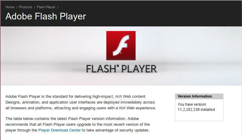 internet explorer flash player download